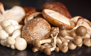 Kalória gombák gombák főtt. Kémiai összetétel és tápérték.
