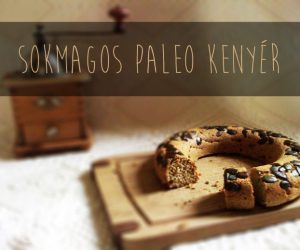Sokmagos-paleo-kenyer